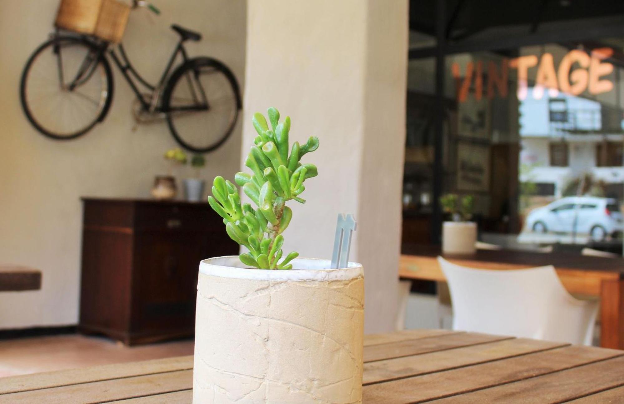 Barrydale Karoo - Boutique Hotel Exterior photo